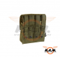 Preview: Invader Gear - 5.56 Doppelte Molle Magazintasche in Oliv