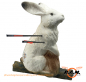 Preview: 3D Ziel Hase von ELEVEN TARGETS für Bogen / Armbrust / Compound