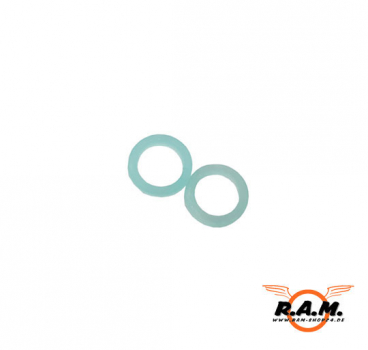 2x O-Ring für RAM 56 / AK /A-Serie  #SPX4012A