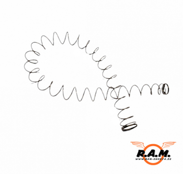 TM4/TM4 RIS/HK416 Magazinfeder / Druckfeder (#06-6)