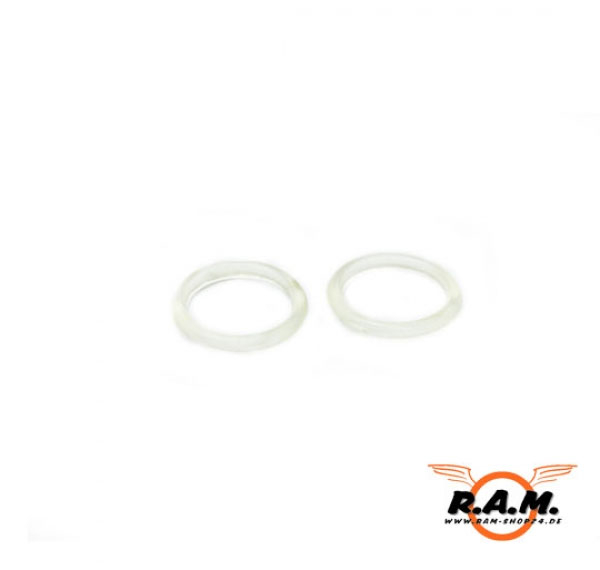 O-Ring für RAM X50 original APS #P2119