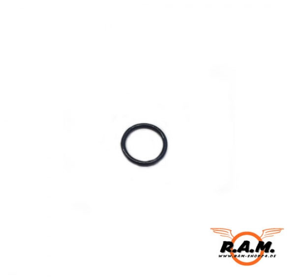 O-Ring für RAM X50 original APS #P2122